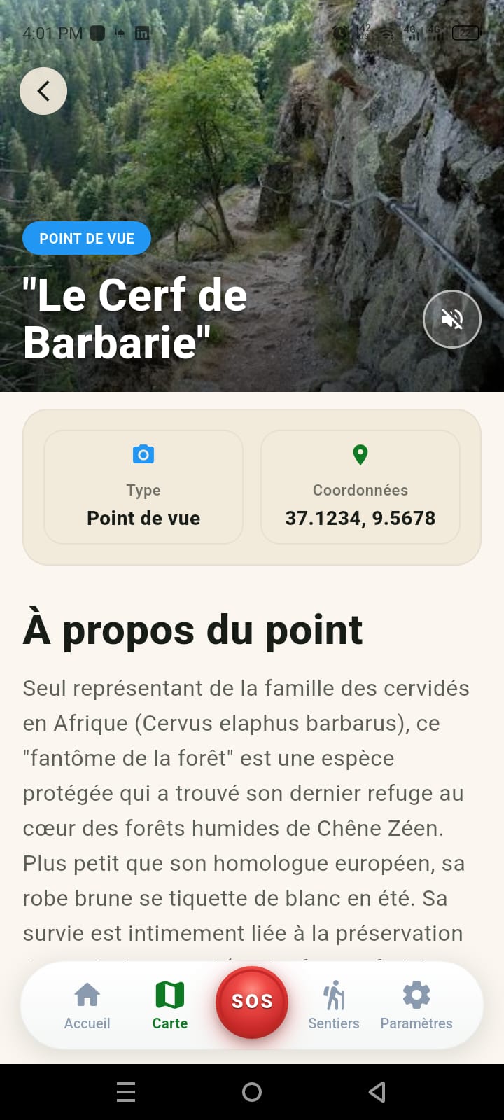 Fiche du point d'intérêt « Le Cerf de Barbarie »